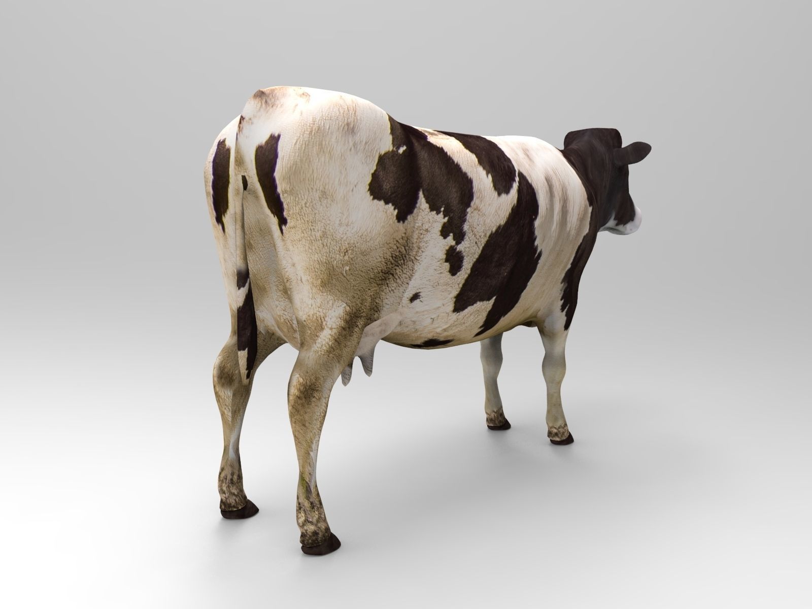 Cow Rigged cattle game ready low poly Low-poly 3D model_12