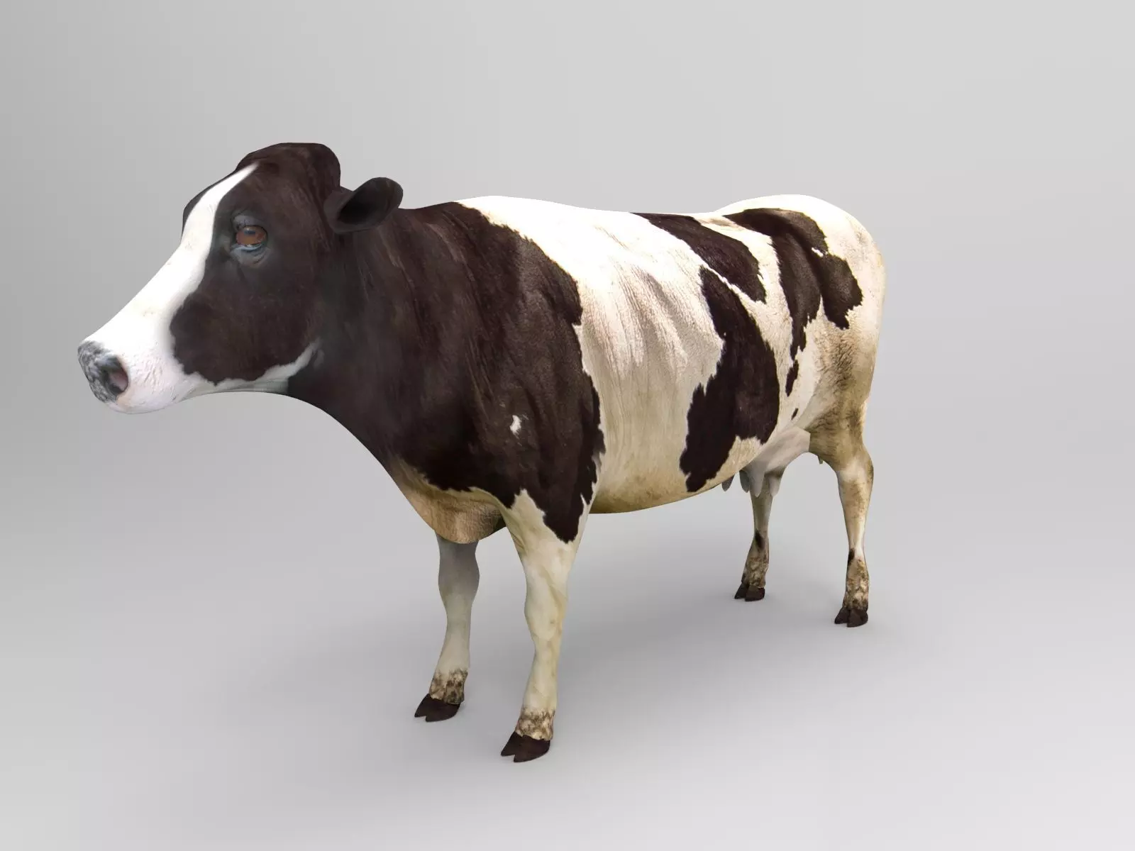Cow Rigged cattle game ready low poly Low-poly 3D model_0