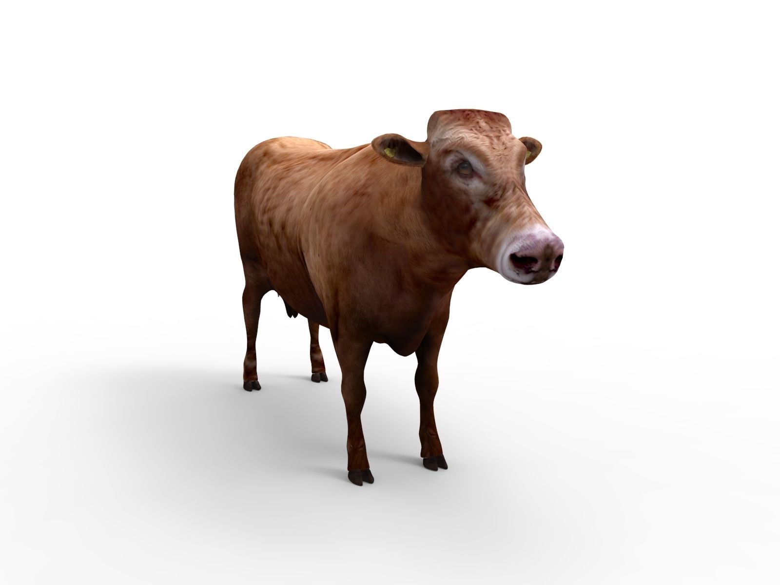 3D Red Cow Rigged Model  Low-poly 3D model_11