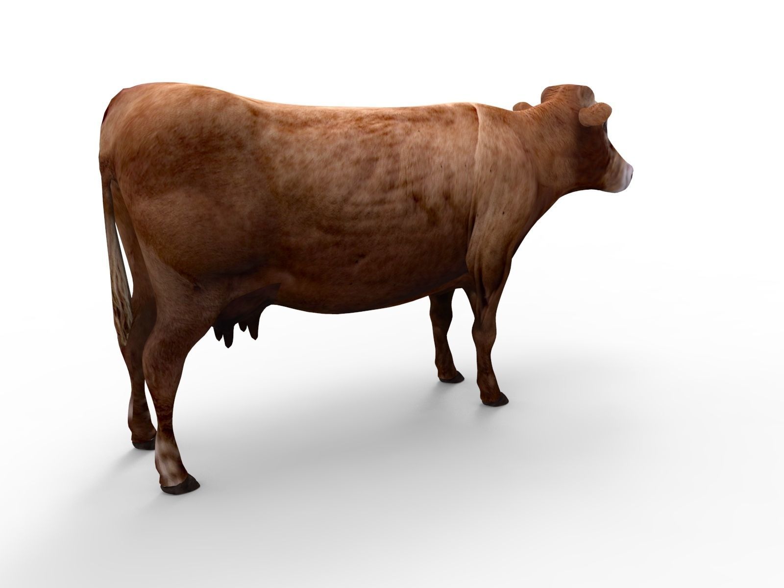 3D Red Cow Rigged Model  Low-poly 3D model_8