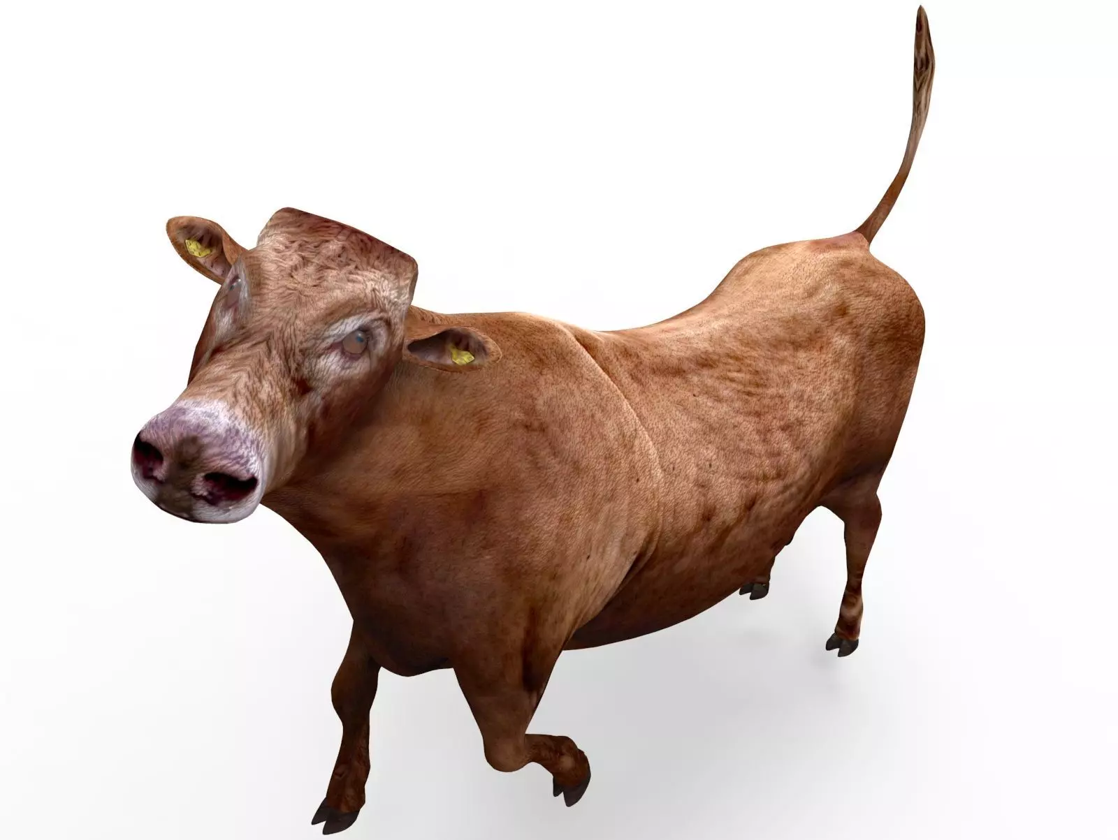 3D Red Cow Rigged Model  Low-poly 3D model_0