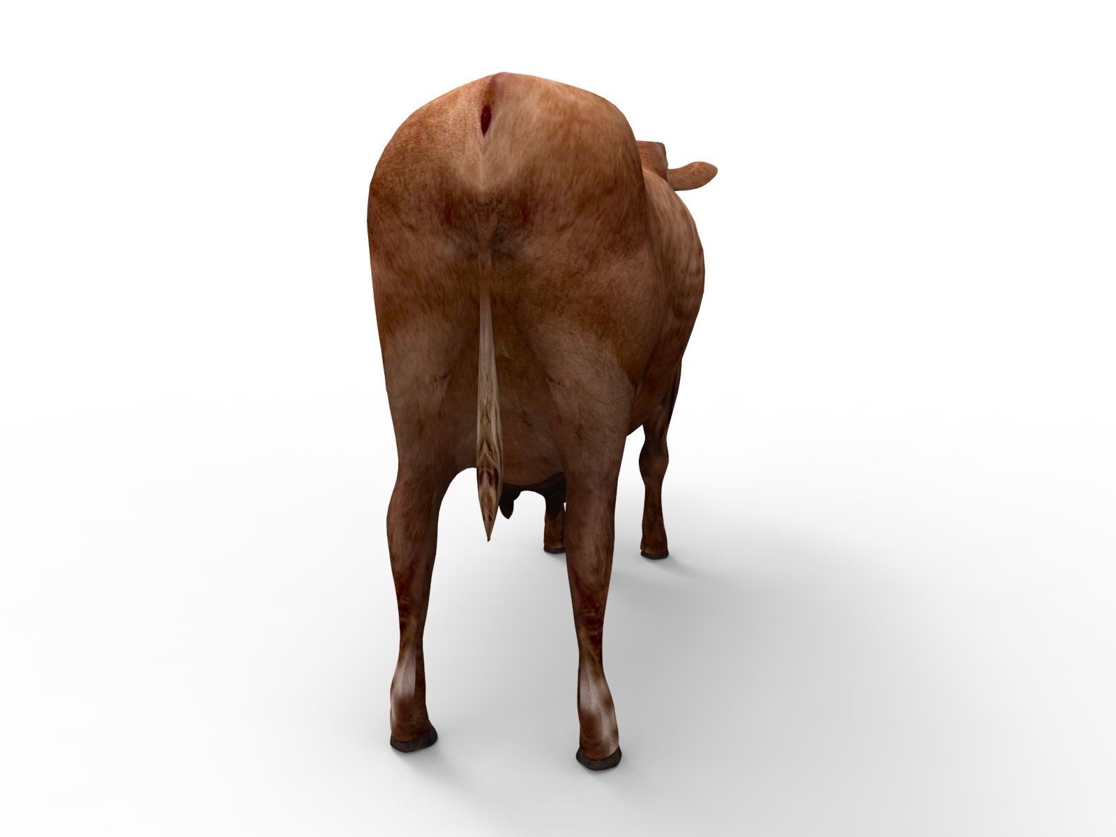 3D Red Cow Rigged Model  Low-poly 3D model_7