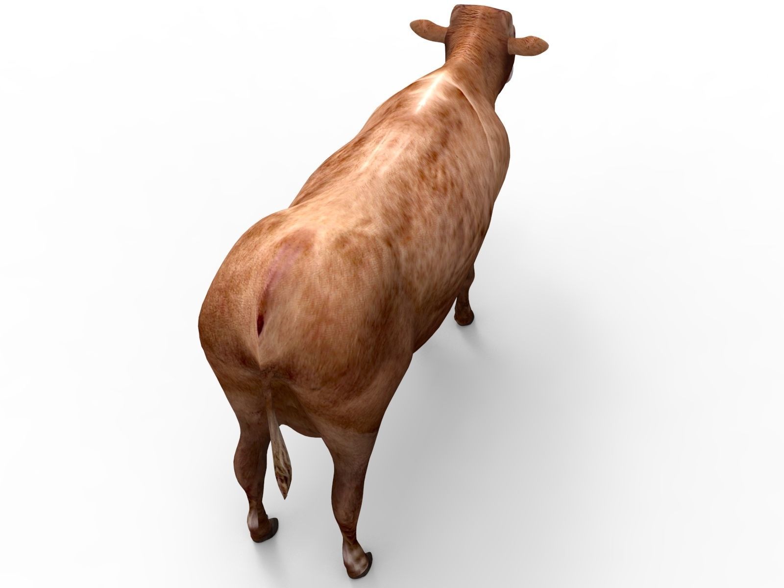 3D Red Cow Rigged Model  Low-poly 3D model_6
