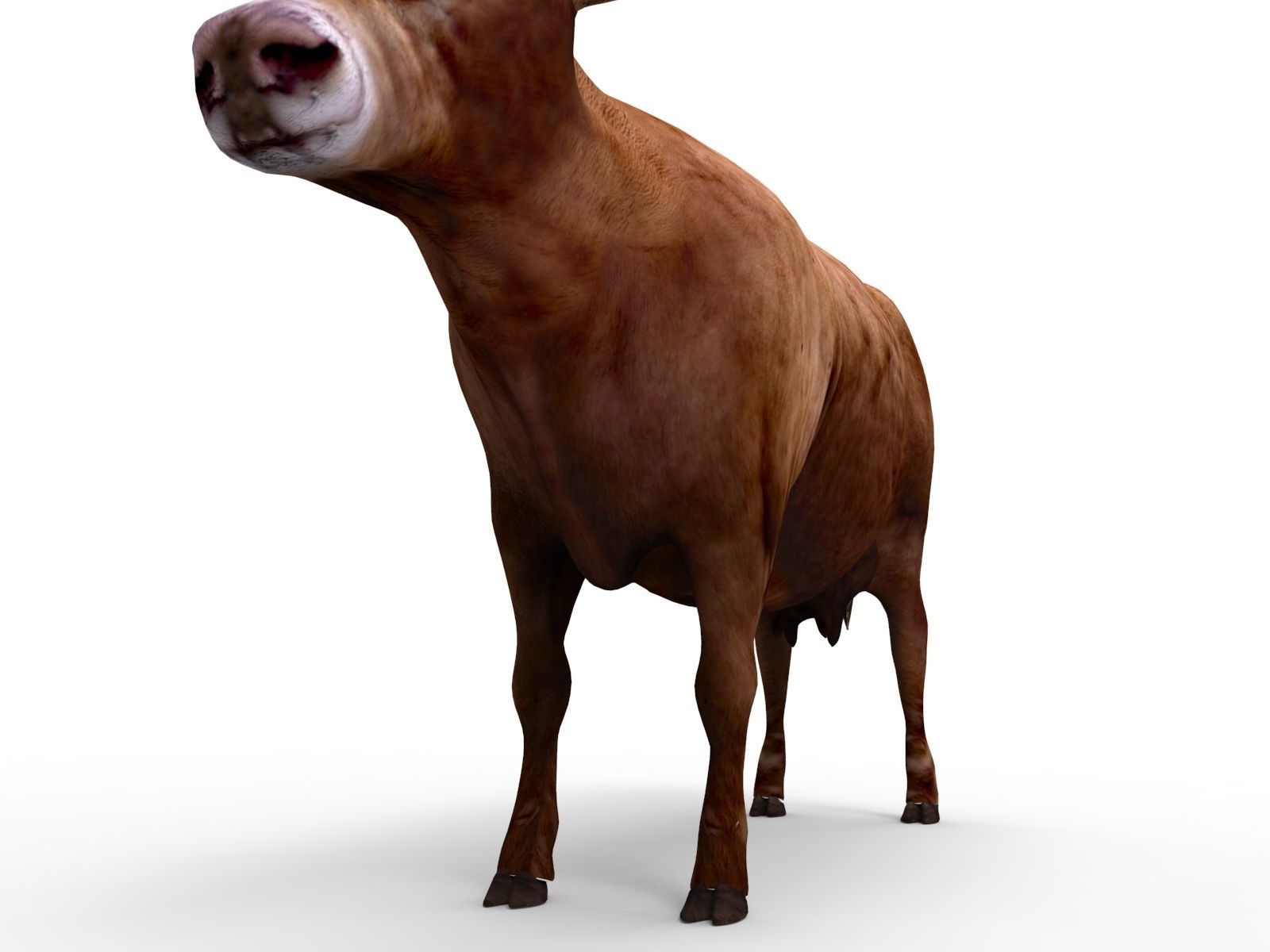 3D Red Cow Rigged Model  Low-poly 3D model_13