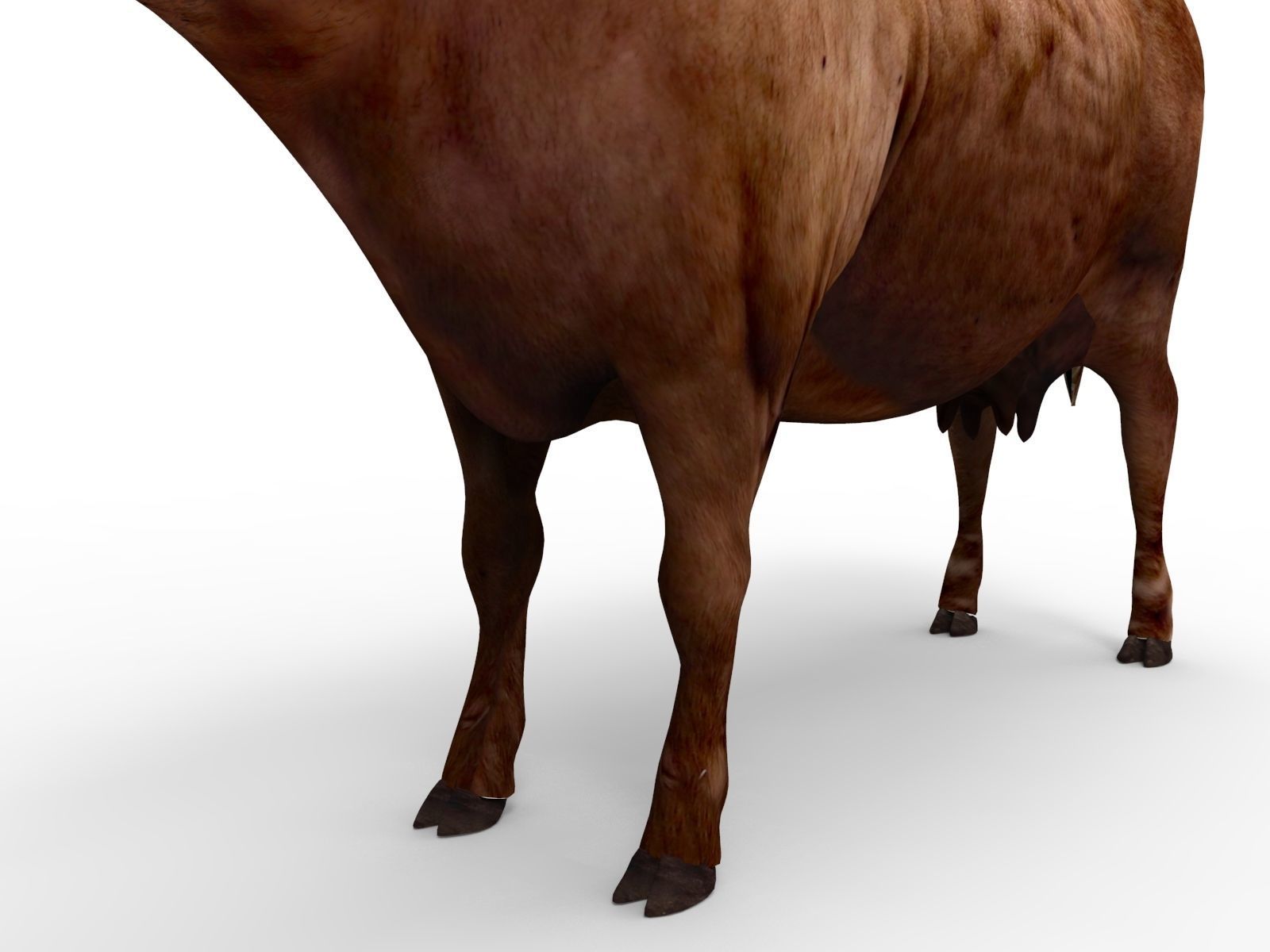 3D Red Cow Rigged Model  Low-poly 3D model_14