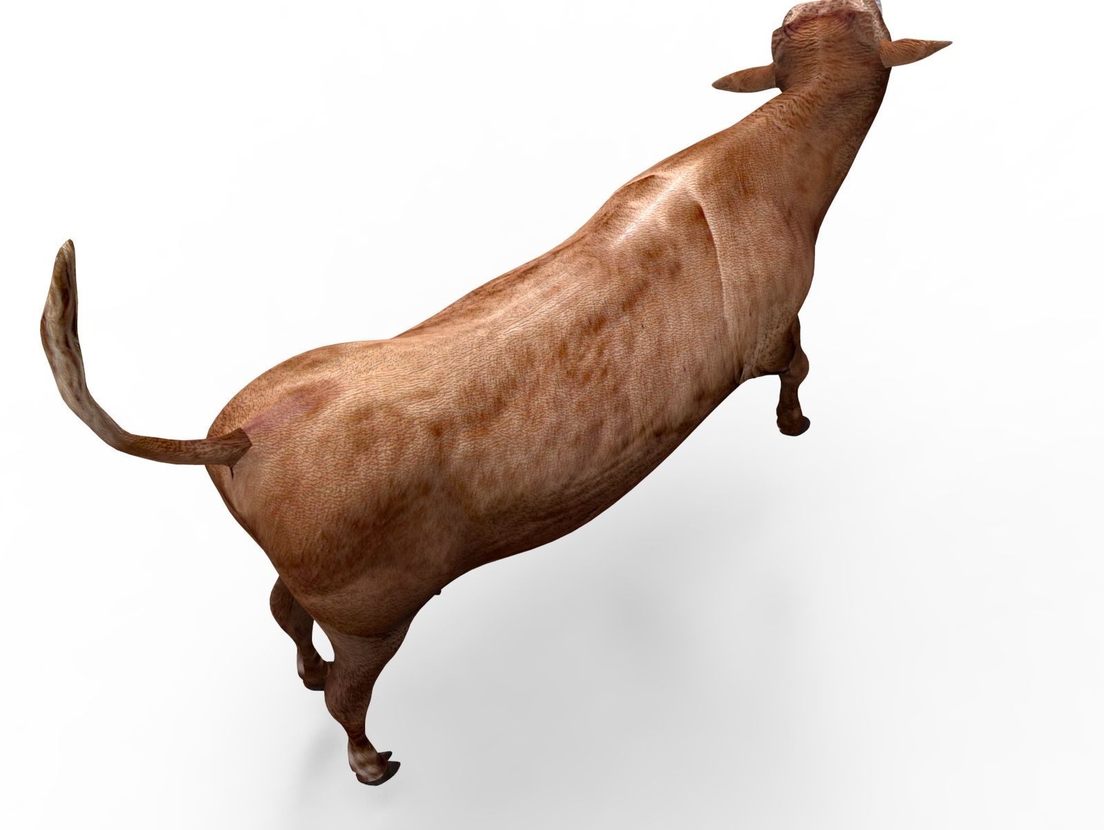 3D Red Cow Rigged Model  Low-poly 3D model_18