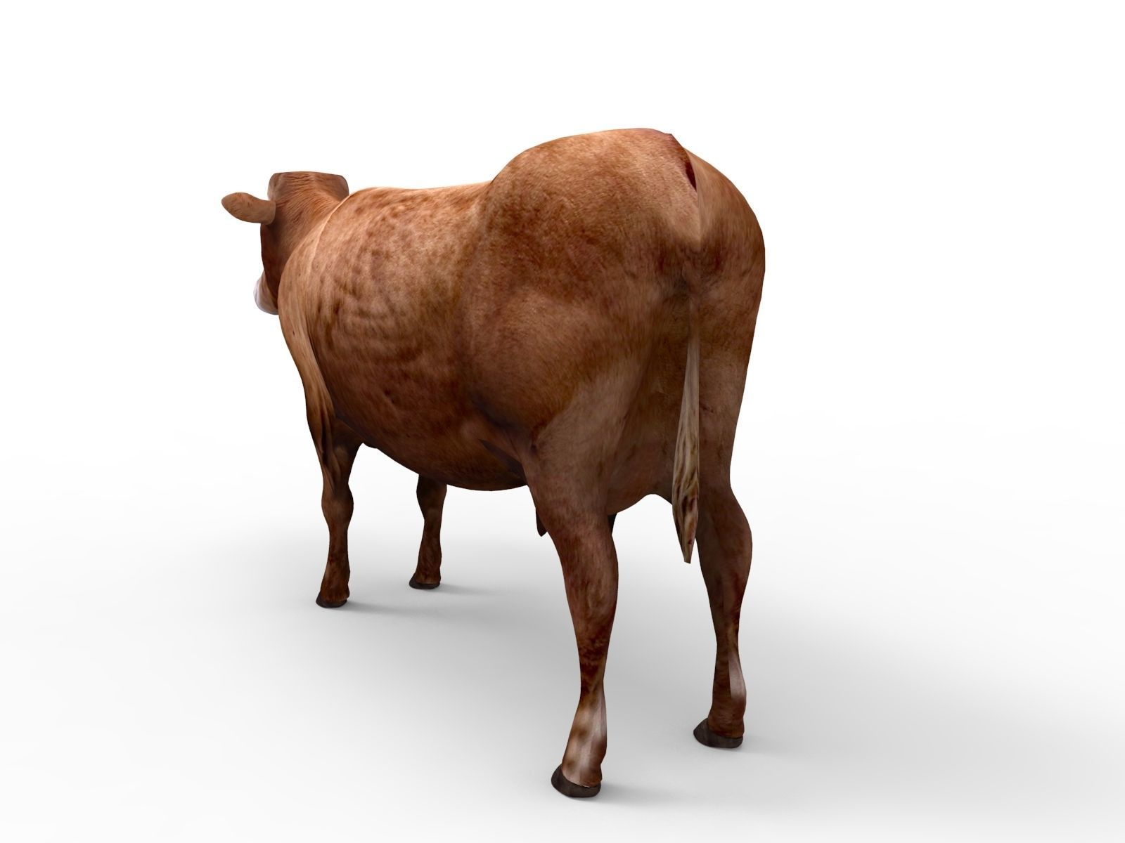 3D Red Cow Rigged Model  Low-poly 3D model_2