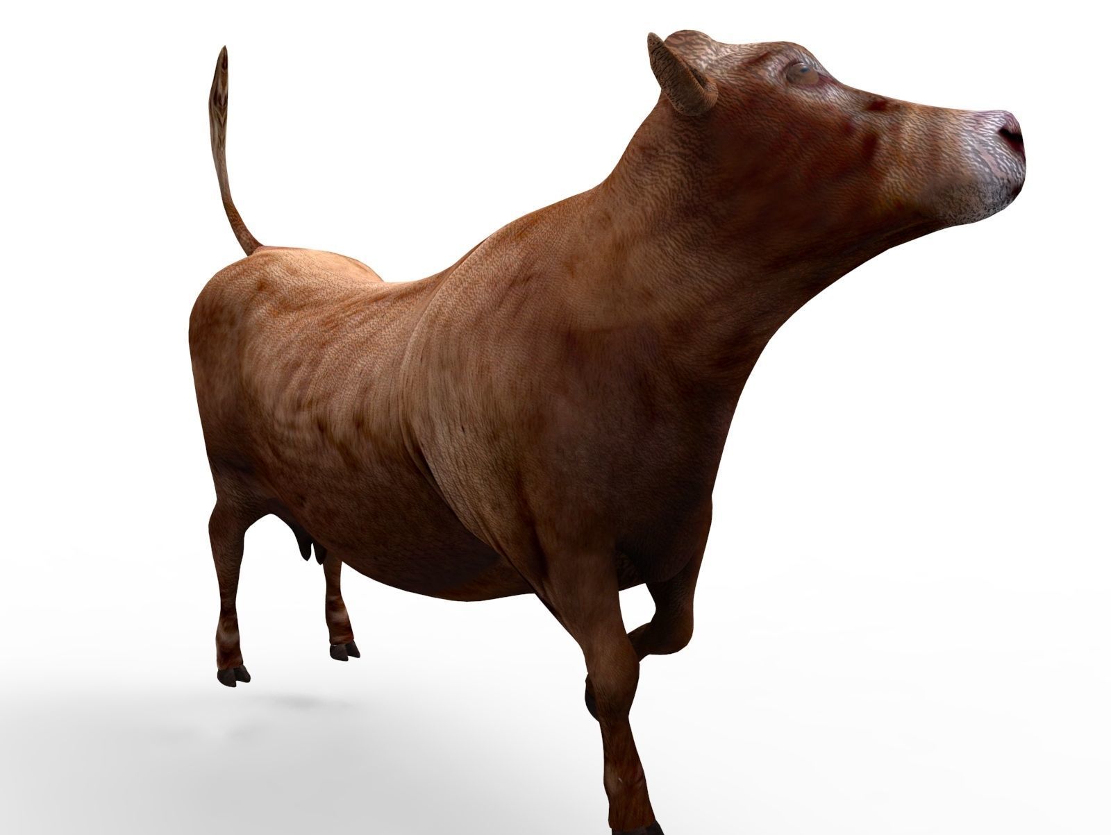 3D Red Cow Rigged Model  Low-poly 3D model_21