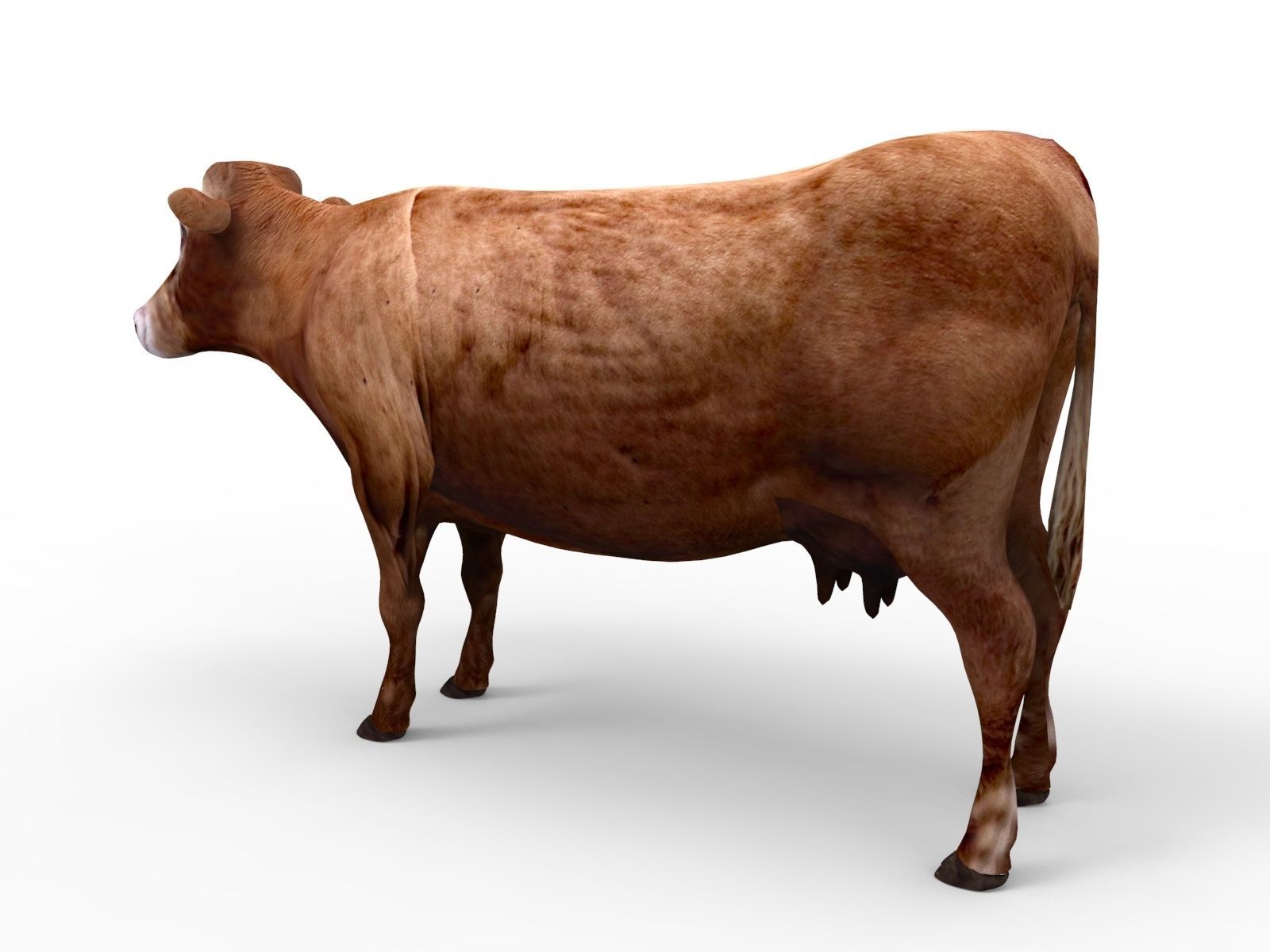 3D Red Cow Rigged Model  Low-poly 3D model_5