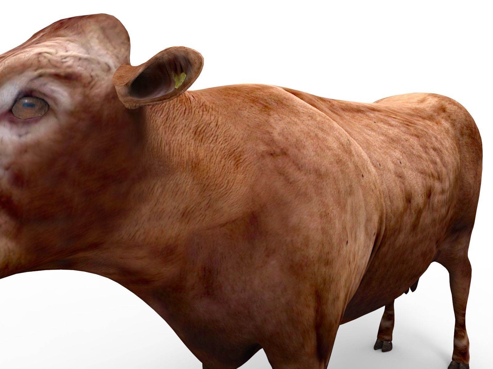 3D Red Cow Rigged Model  Low-poly 3D model_12