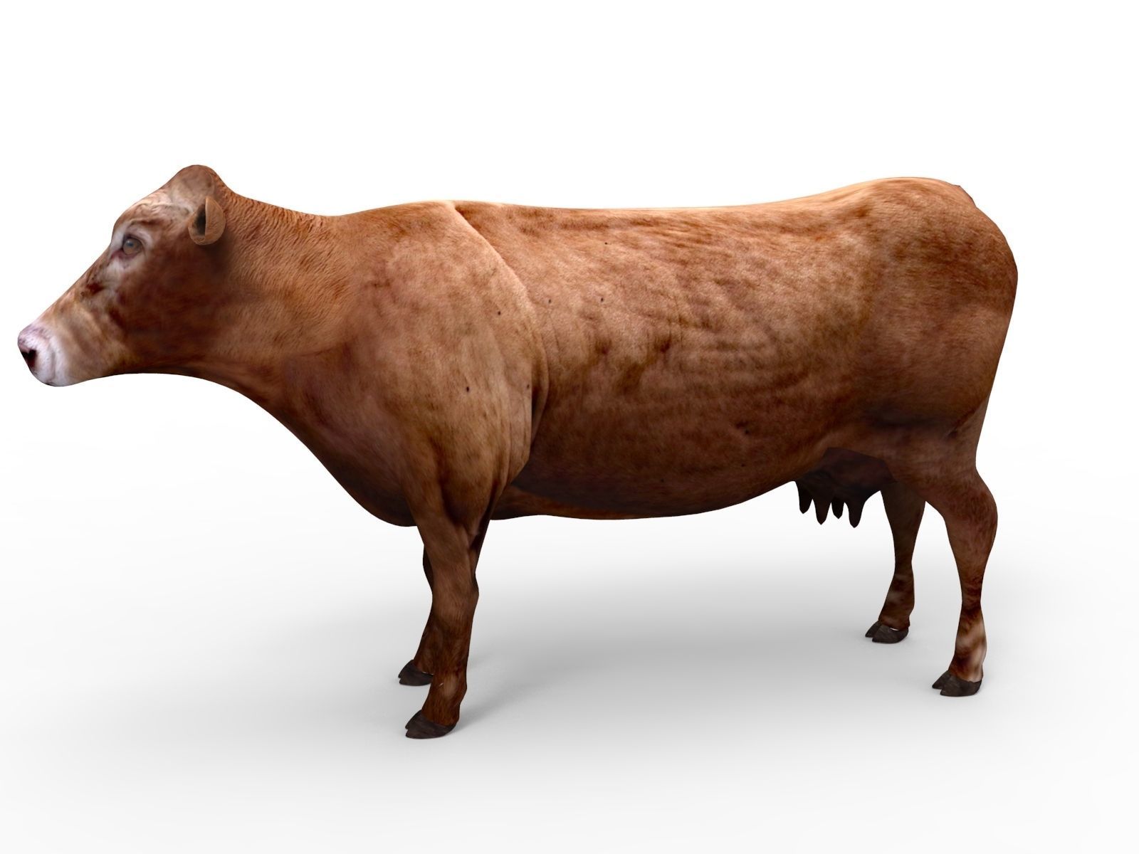 3D Red Cow Rigged Model  Low-poly 3D model_3