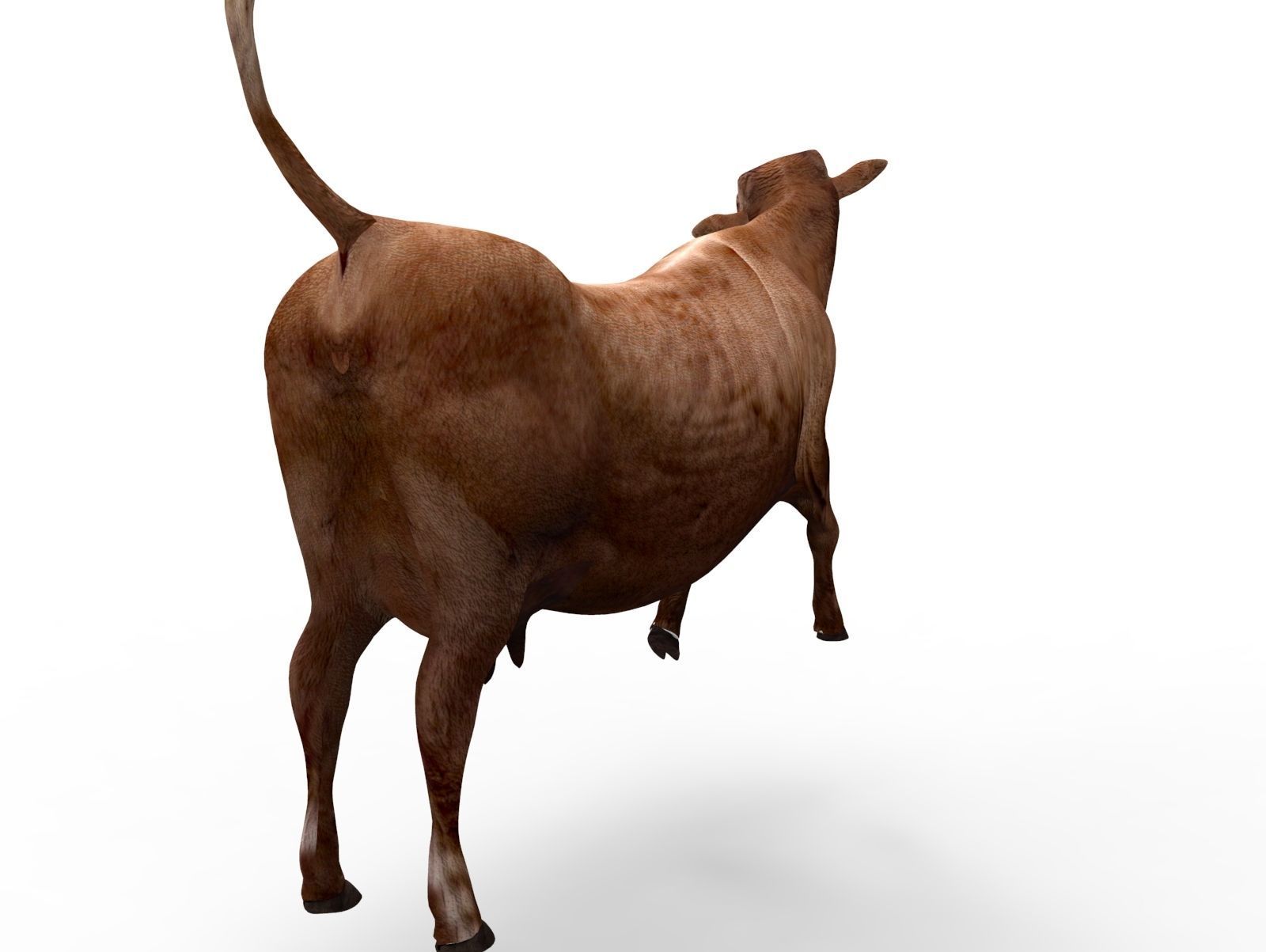 3D Red Cow Rigged Model  Low-poly 3D model_17