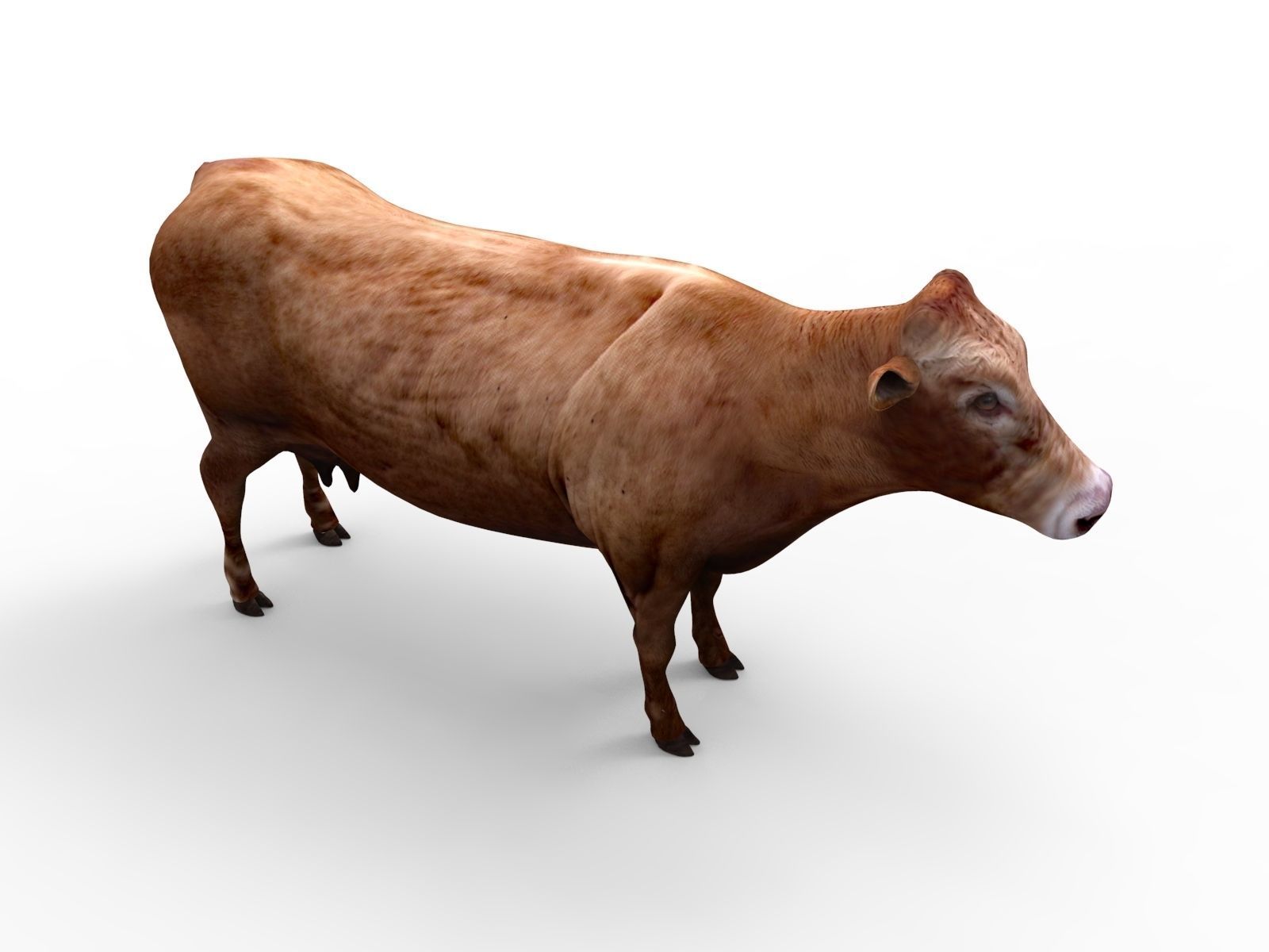 3D Red Cow Rigged Model  Low-poly 3D model_10