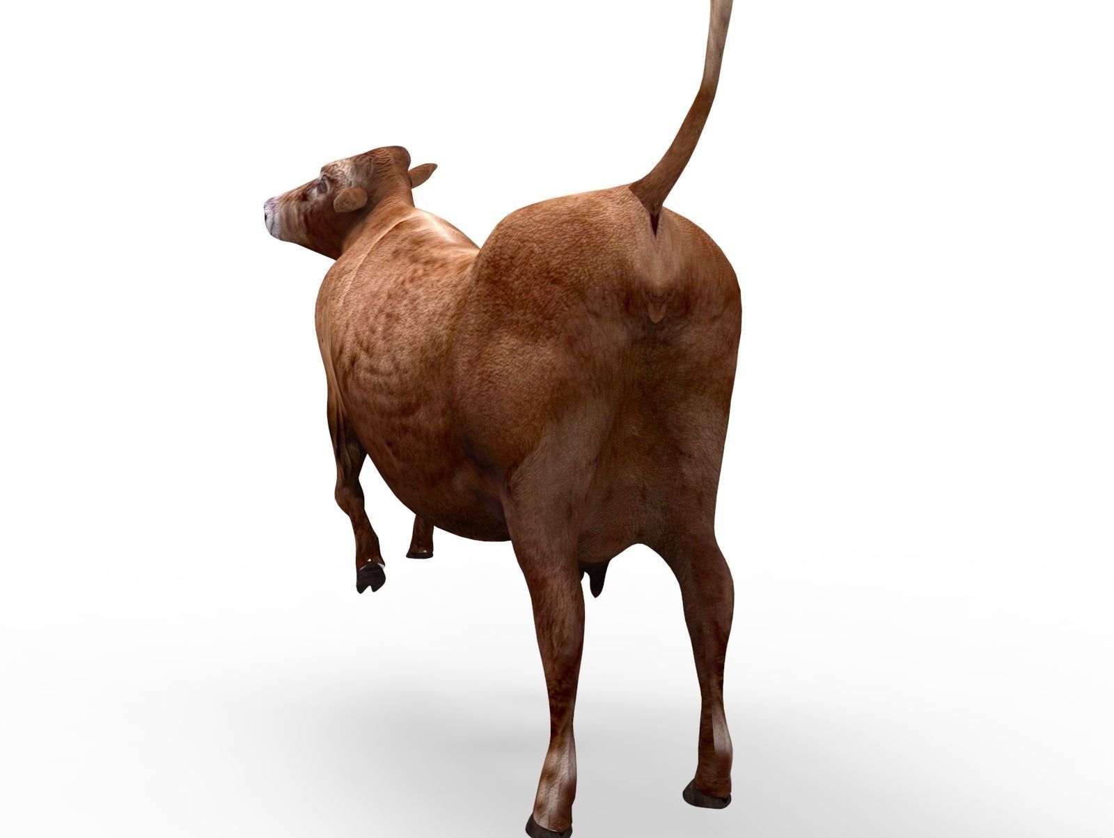 3D Red Cow Rigged Model  Low-poly 3D model_16