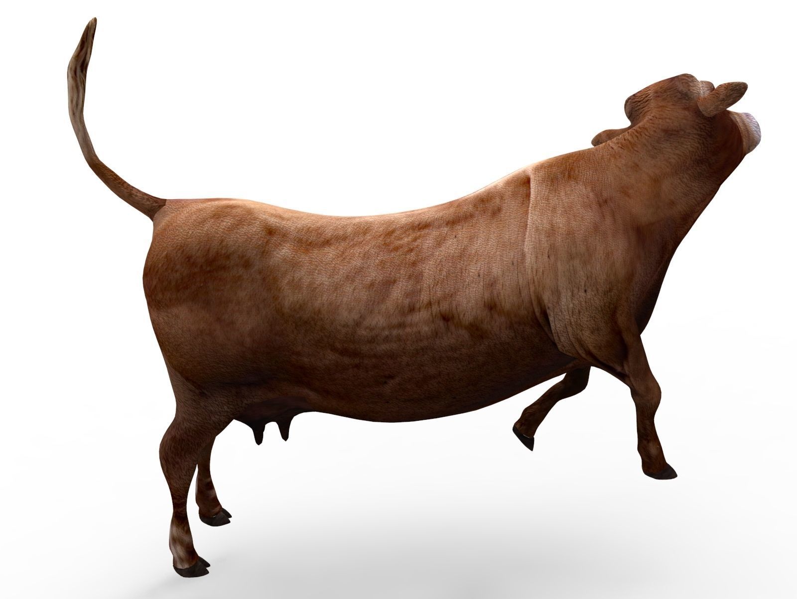 3D Red Cow Rigged Model  Low-poly 3D model_20