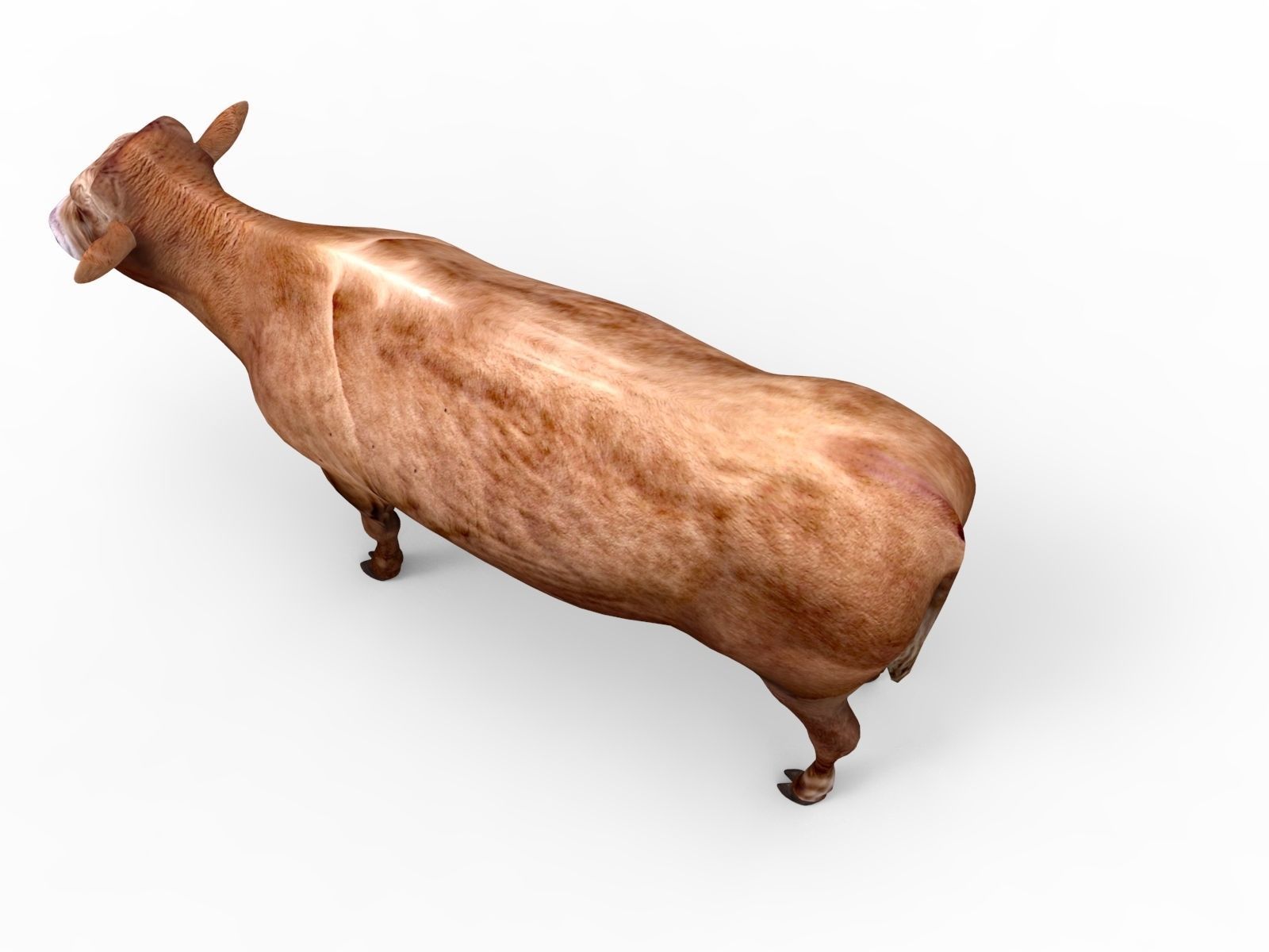 3D Red Cow Rigged Model  Low-poly 3D model_4