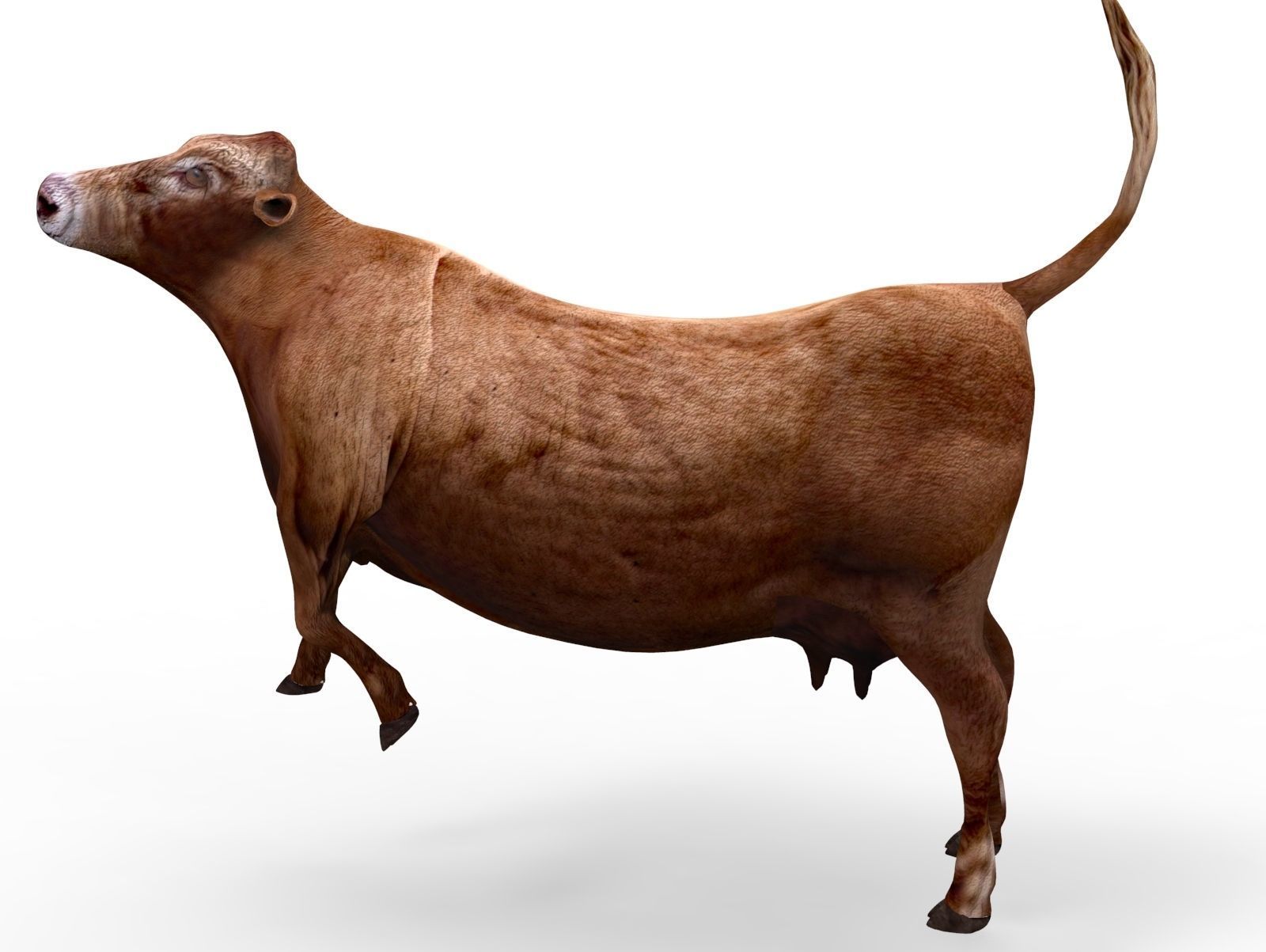 3D Red Cow Rigged Model  Low-poly 3D model_19
