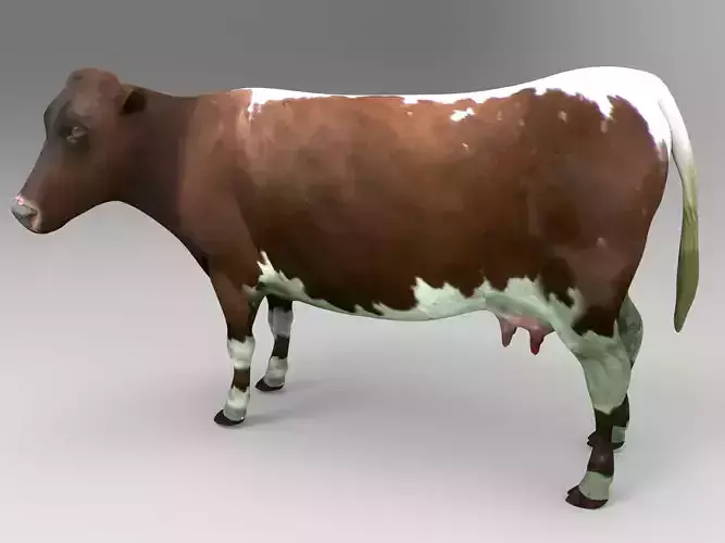 3D Cow Rigged game ready low poly model Low-poly 3D model