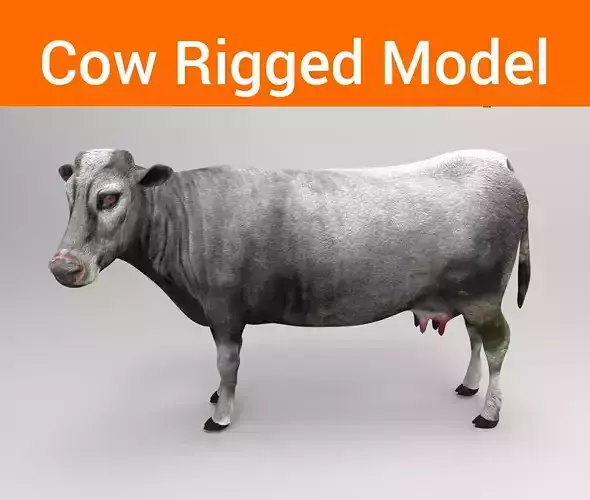 3D Cow Rigged cattle game ready Low-poly 3D model