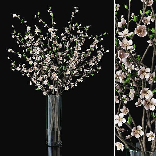 Plum blossom 03 3D model