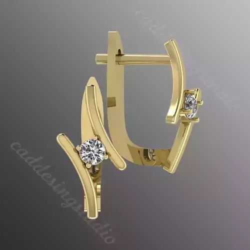 Earrings bi 2 3D print model