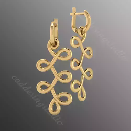 Earrings bi 2