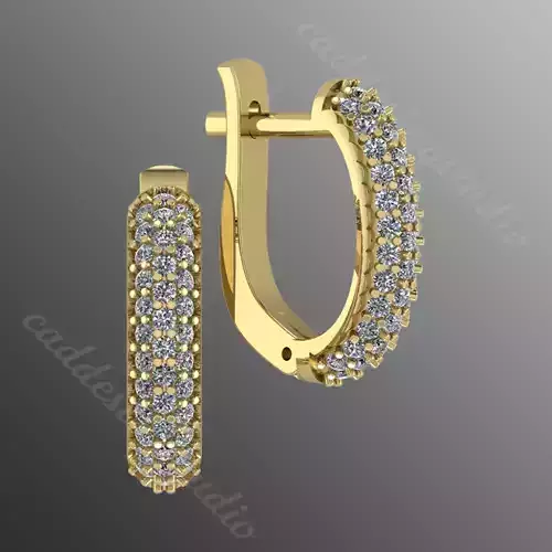 Earrings bi 5 3D print model