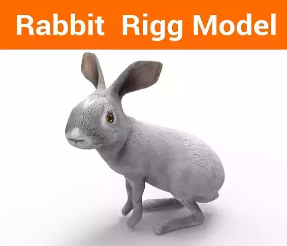 White Rabbit Rigged Low poly model Low-poly 3D model