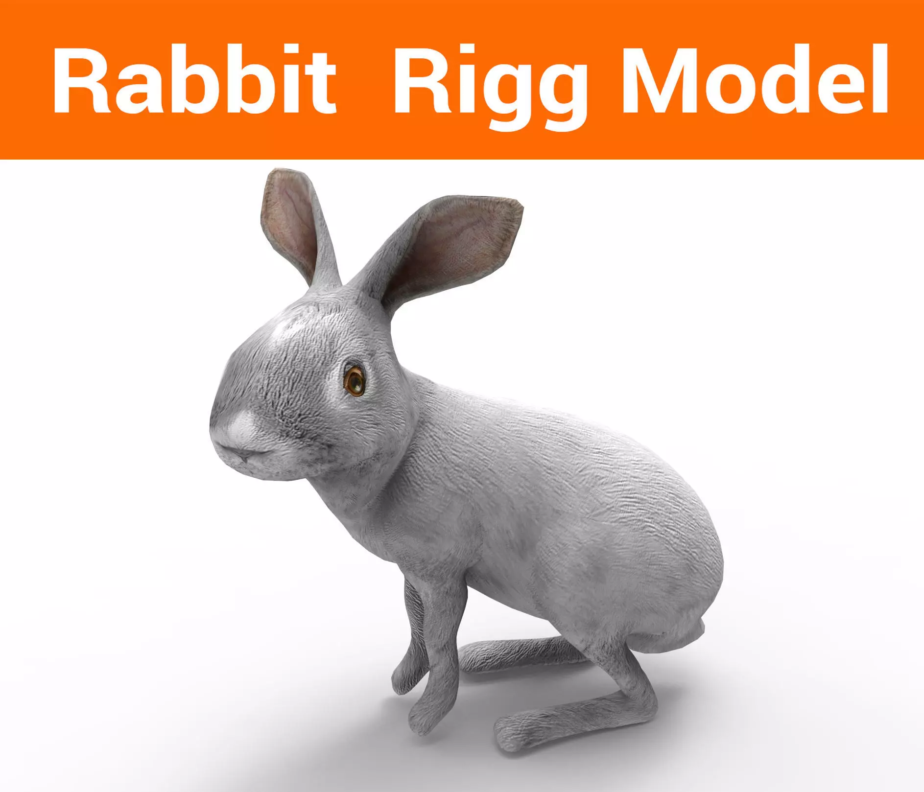 White Rabbit Rigged Low poly model Low-poly 3D model