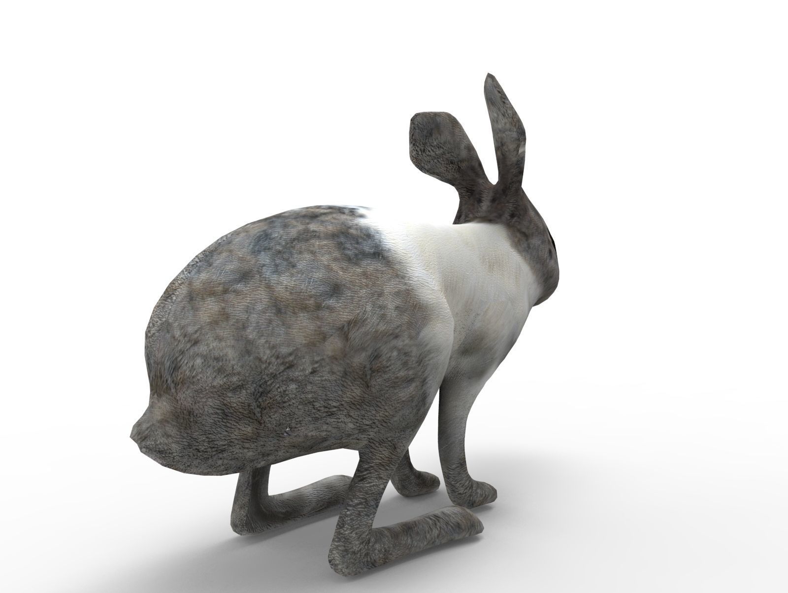 White Cute Rabbit Rigged Low poly model Low-poly 3D model_4