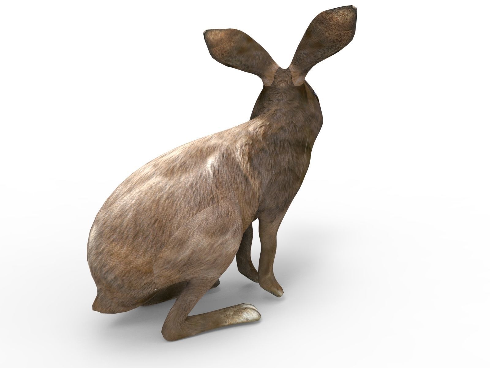 Red rabbit Rigged Low poly model Low-poly 3D model_4