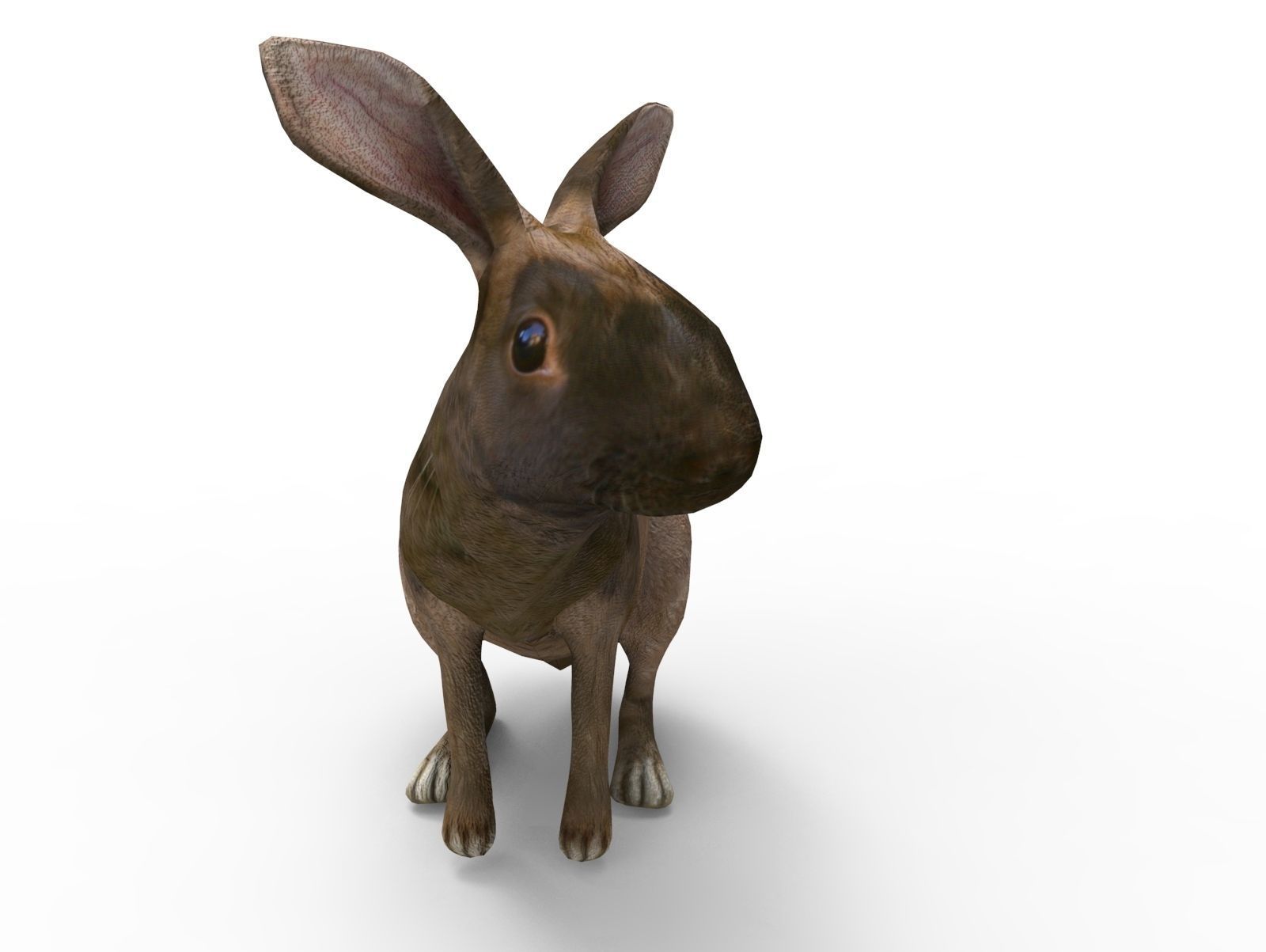 Red rabbit Rigged Low poly model Low-poly 3D model_7