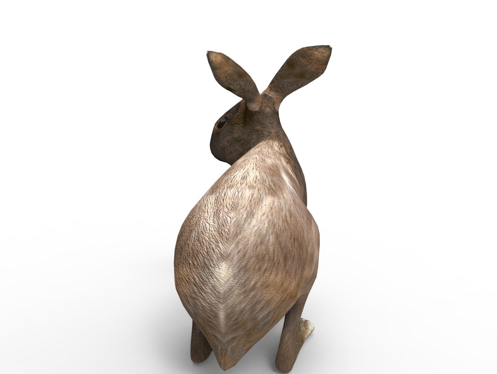 Red rabbit Rigged Low poly model Low-poly 3D model_3