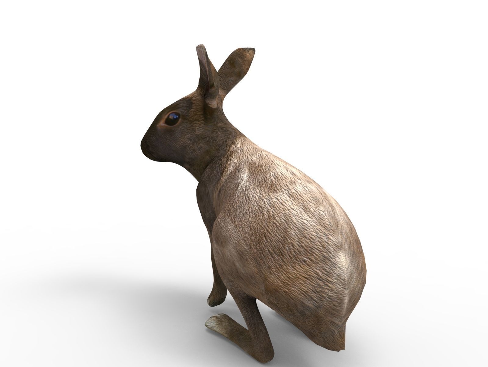 Red rabbit Rigged Low poly model Low-poly 3D model_2
