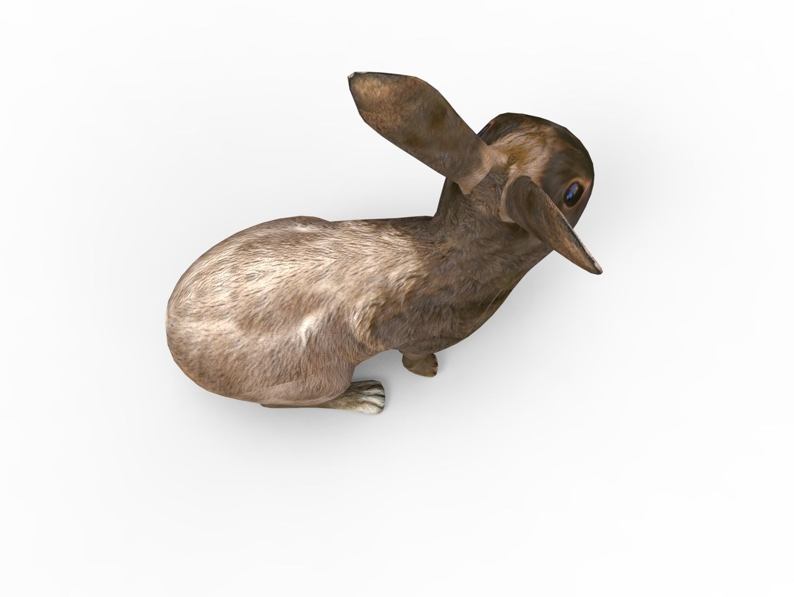Red rabbit Rigged Low poly model Low-poly 3D model_5