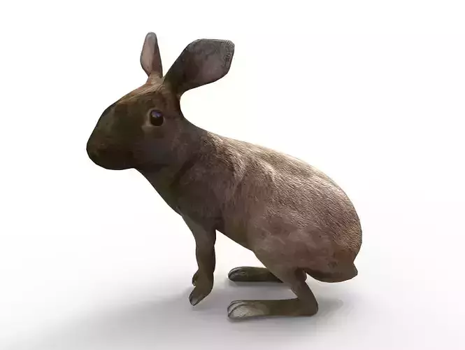 Red rabbit Rigged Low poly model