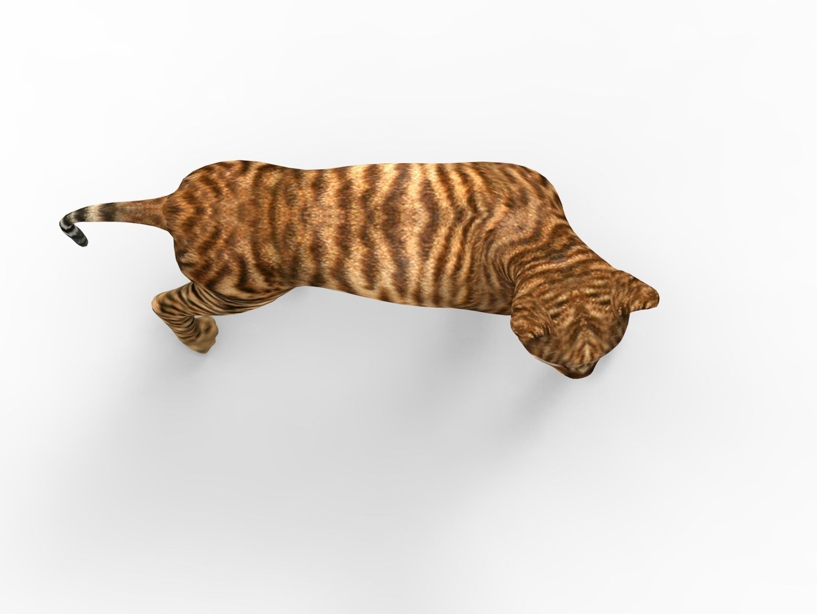 3D Cat Rigged model game ready  Low-poly 3D model_17