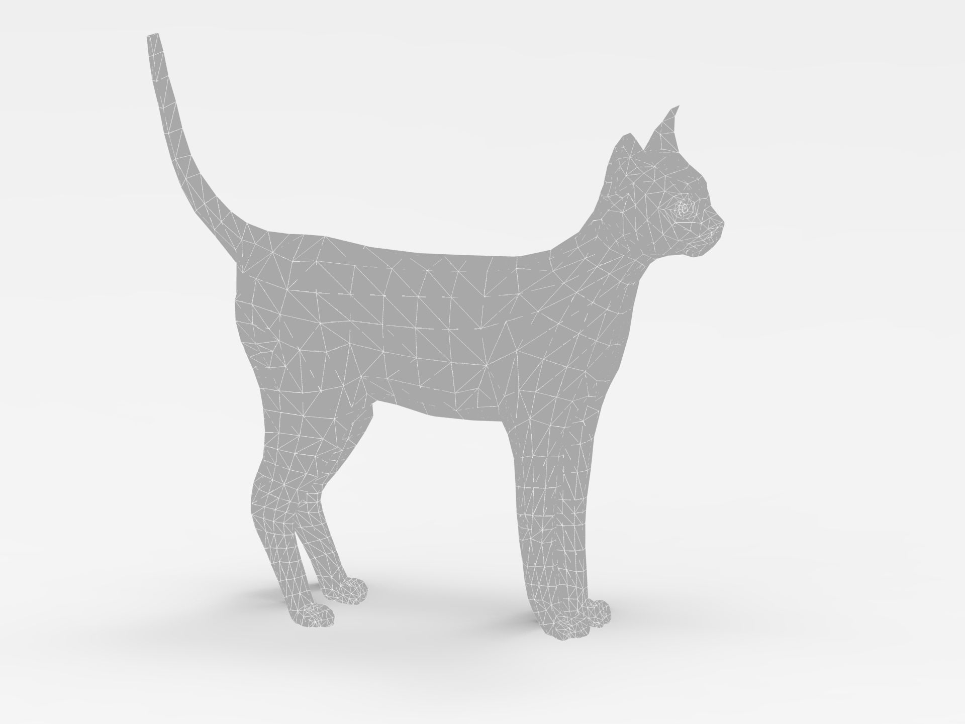 3D Cat Rigged model game ready  Low-poly 3D model_30