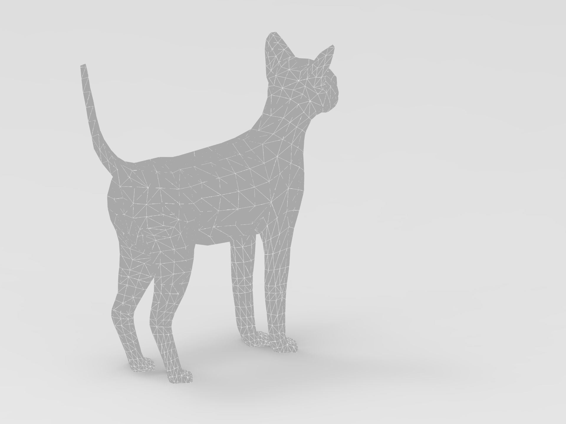 3D Cat Rigged model game ready  Low-poly 3D model_29