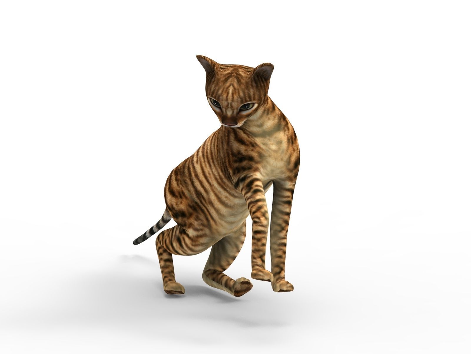 3D Cat Rigged model game ready  Low-poly 3D model_12