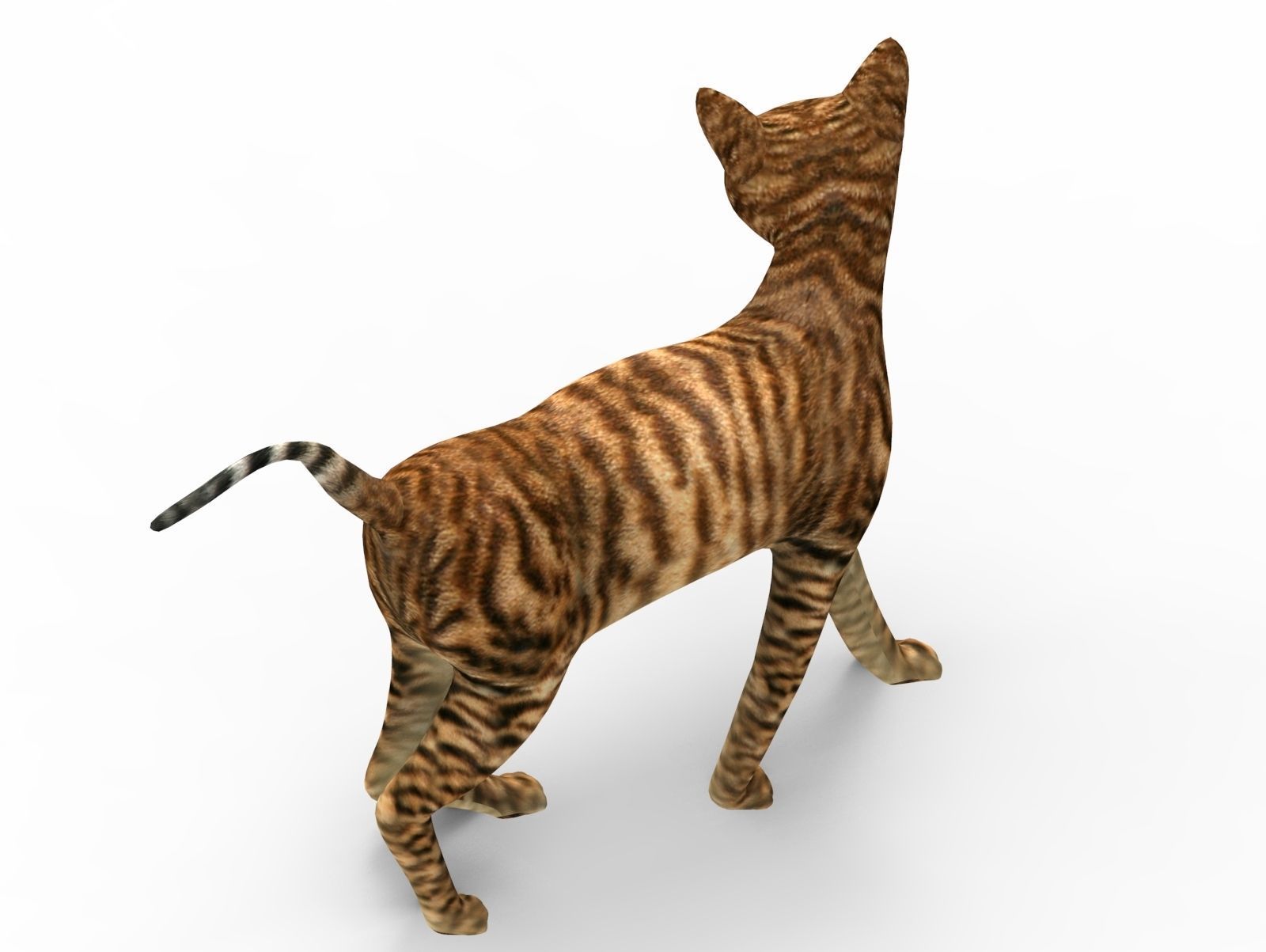 3D Cat Rigged model game ready  Low-poly 3D model_6