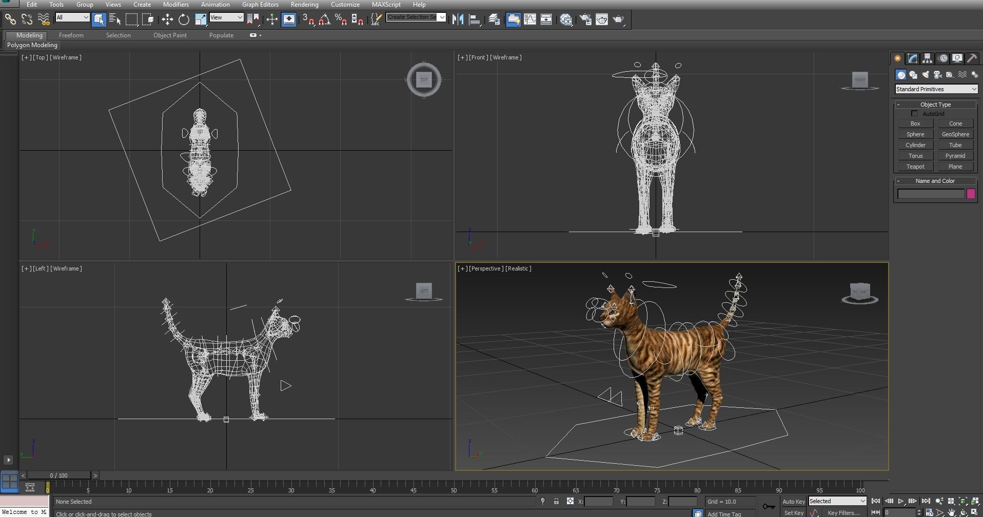 3D Cat Rigged model game ready  Low-poly 3D model_23