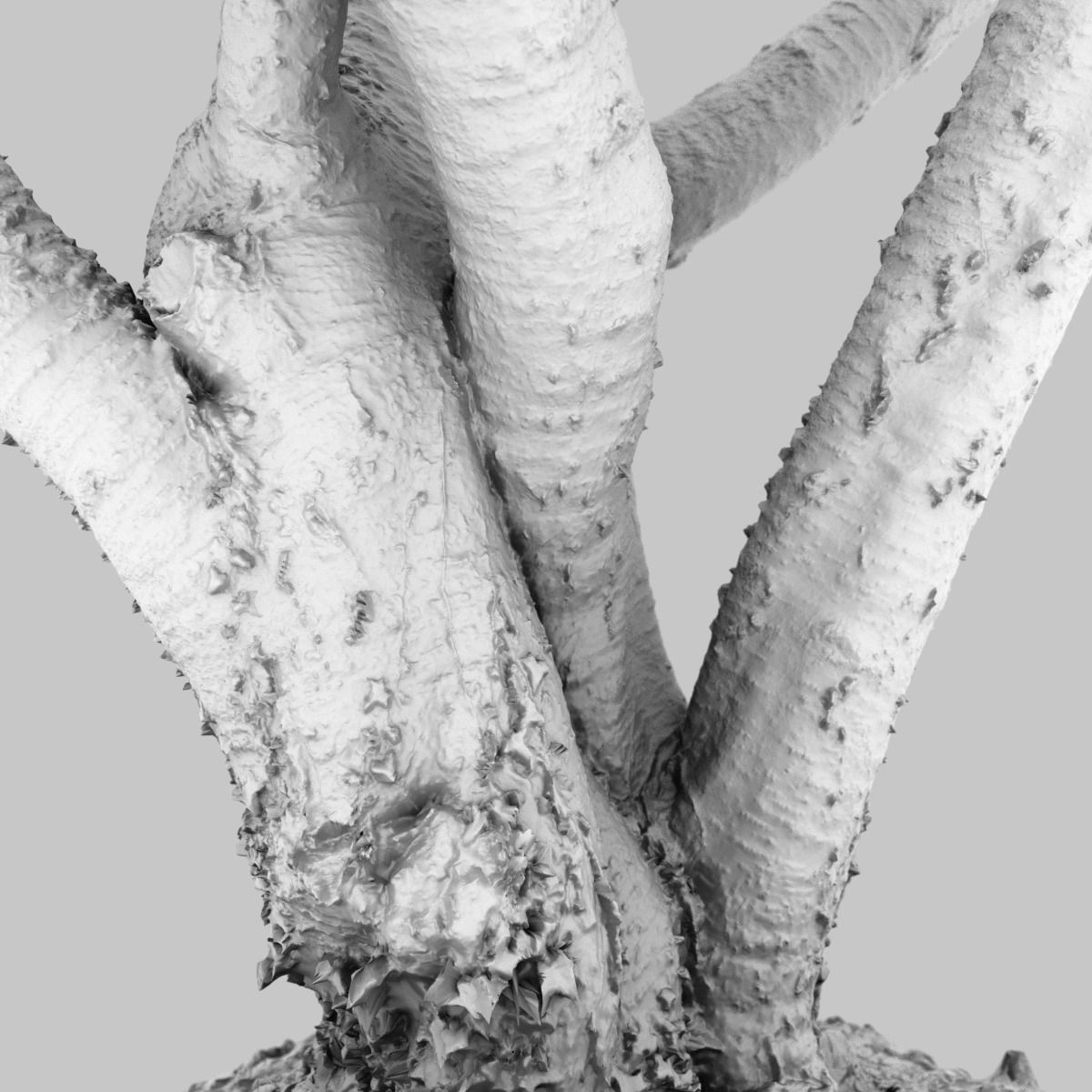 Tree asset high detail and realism 3d scan Low-poly 3D model_8