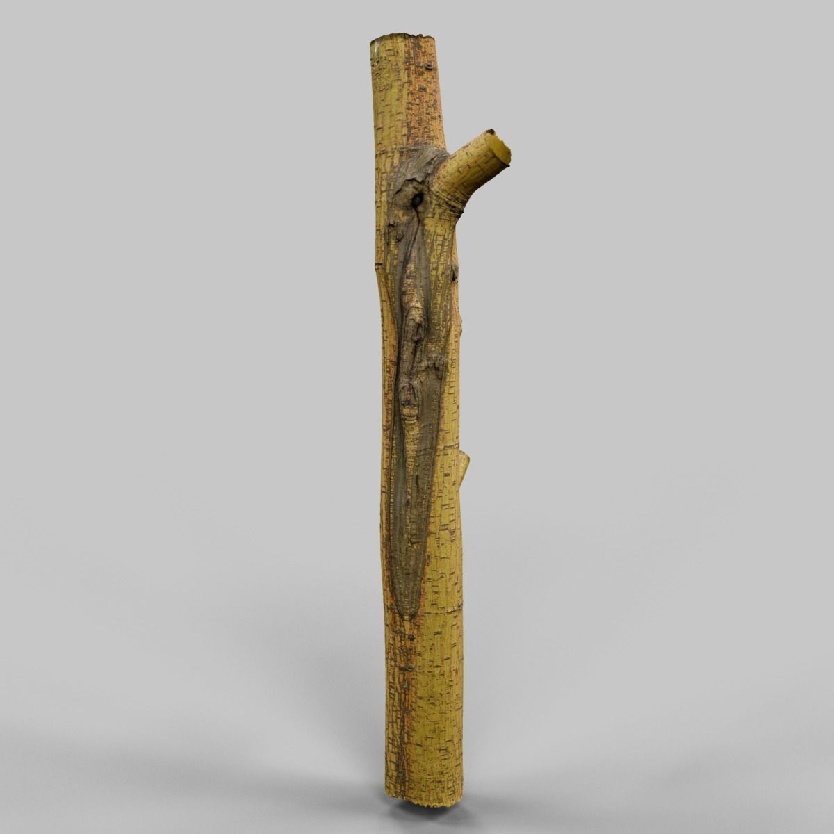 Yellow tree branch Low-poly 3D model_8