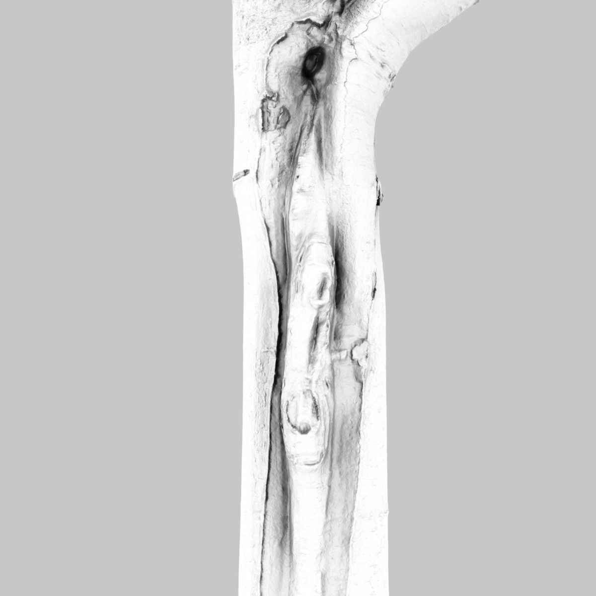 Yellow tree branch Low-poly 3D model_10