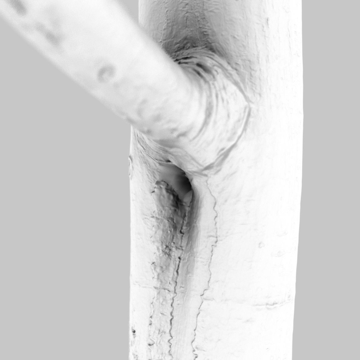 Yellow tree branch Low-poly 3D model_12