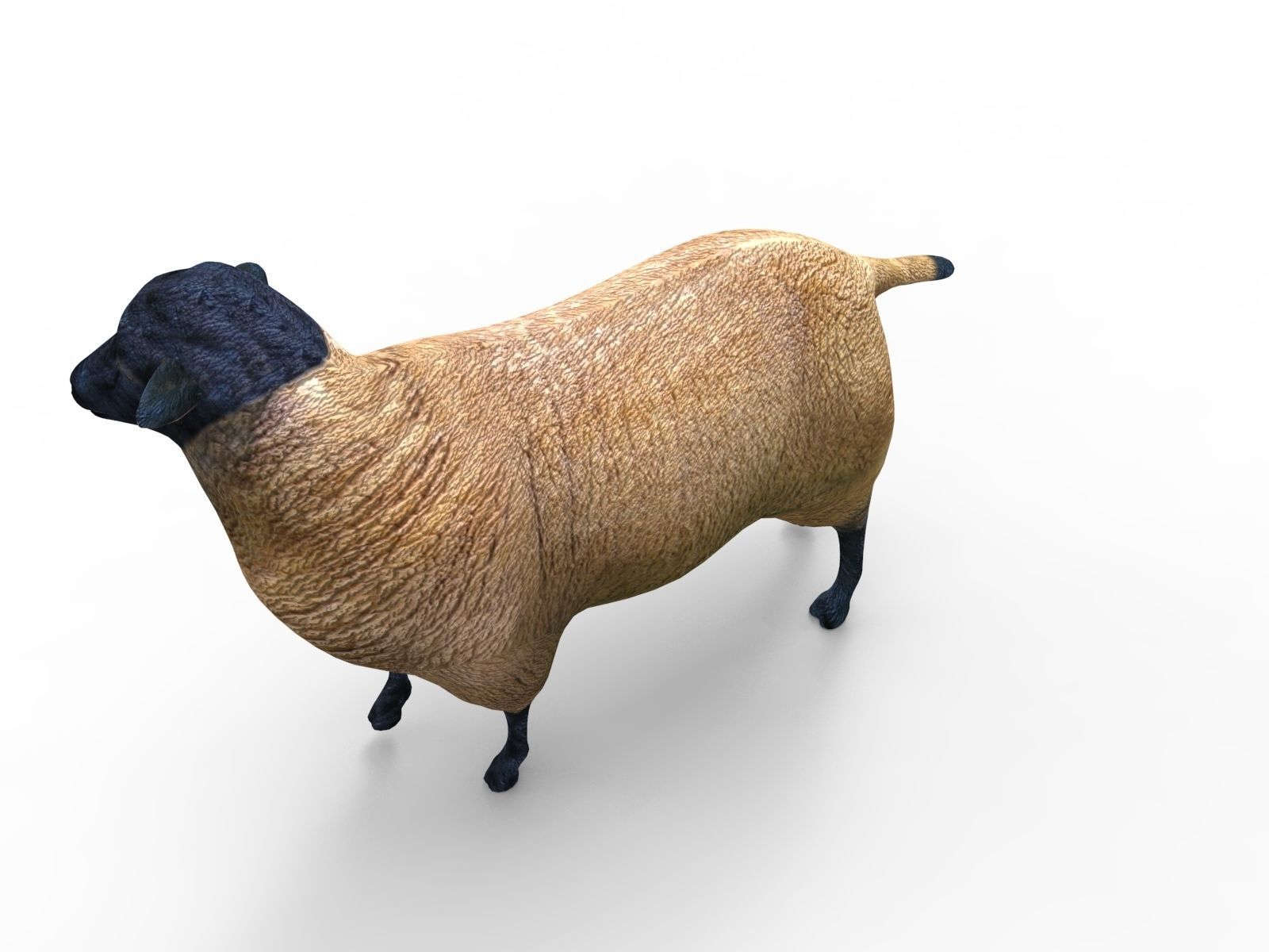 3D Sheep Rigged low poly  Low-poly 3D model_4
