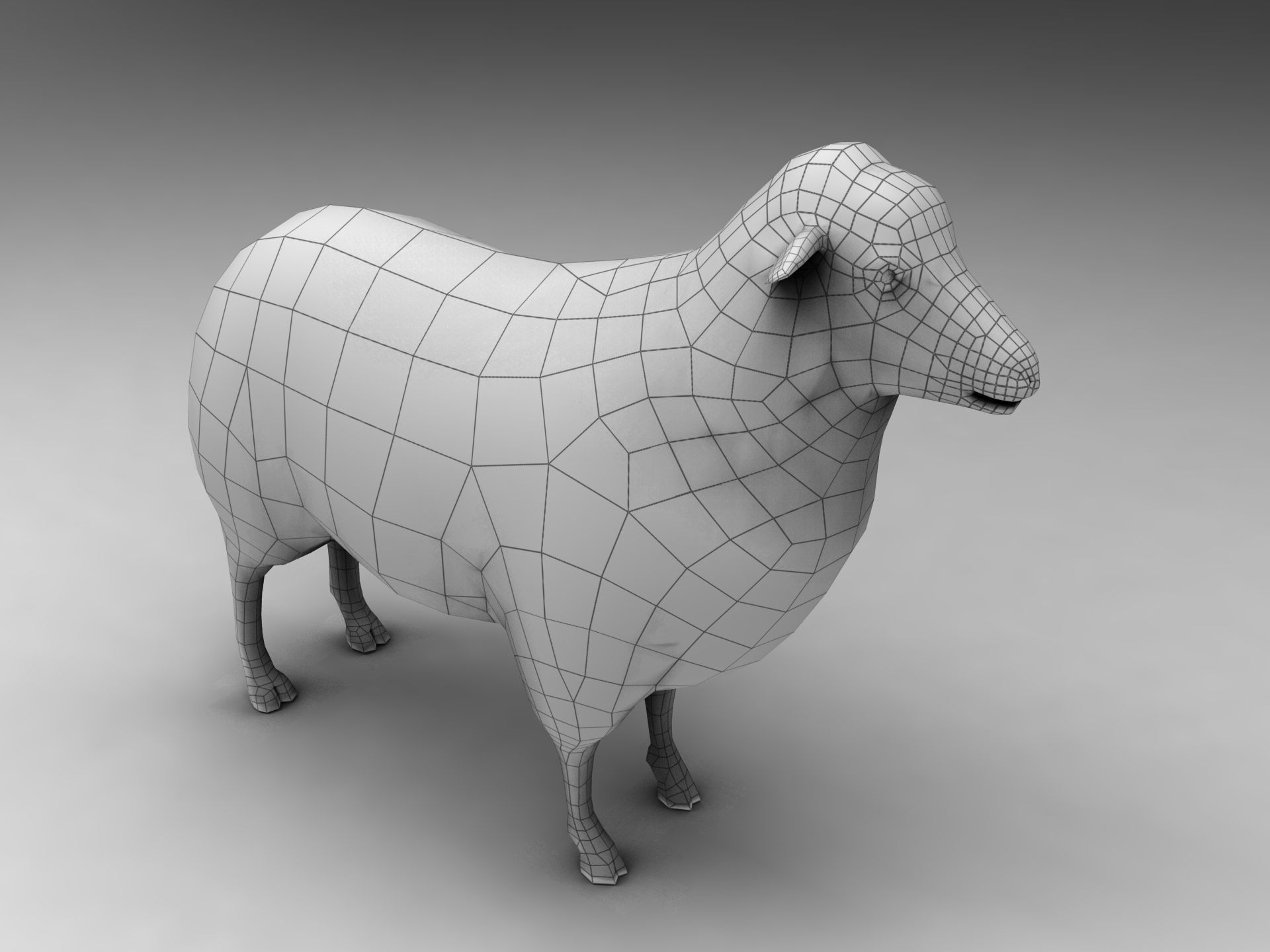 3D Sheep Rigged low poly  Low-poly 3D model_18