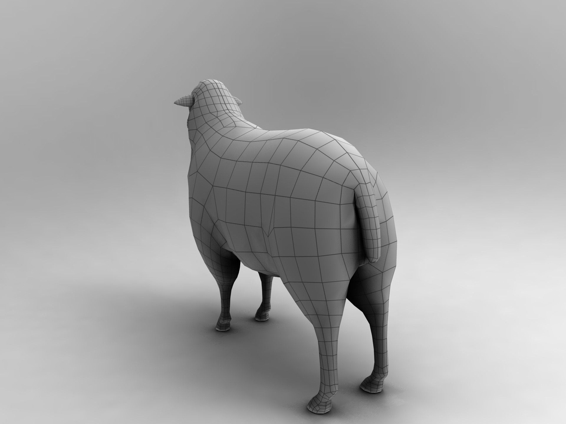 3D Sheep Rigged low poly  Low-poly 3D model_19