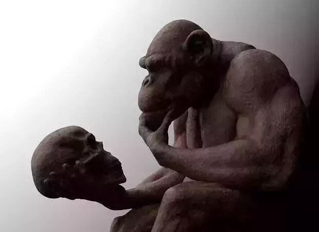 Darwins Chimp 3D print model